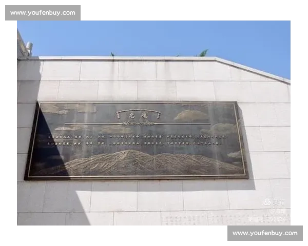 透过重重迷雾揭开的沉默的真相全景式案情脉络深度剖析梳理全程展